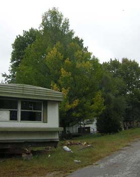 100603_trailersTrees