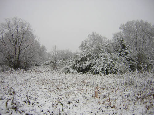 A_snow_on_prairie